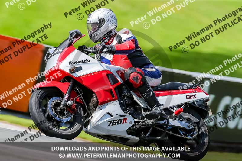 PJ Motorsport 2019;anglesey;brands hatch;cadwell park;croft;donington park;enduro digital images;event digital images;eventdigitalimages;mallory;no limits;oulton park;peter wileman photography;racing digital images;silverstone;snetterton;trackday digital images;trackday photos;vmcc banbury run;welsh 2 day enduro
